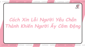cách xin lỗi