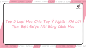 Top 5 loài hoa chia tay ý nghĩa