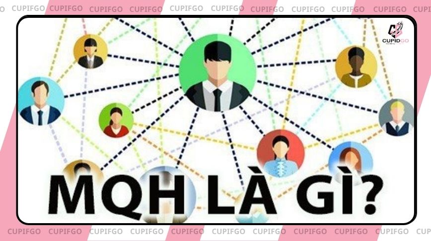 mqh là gì